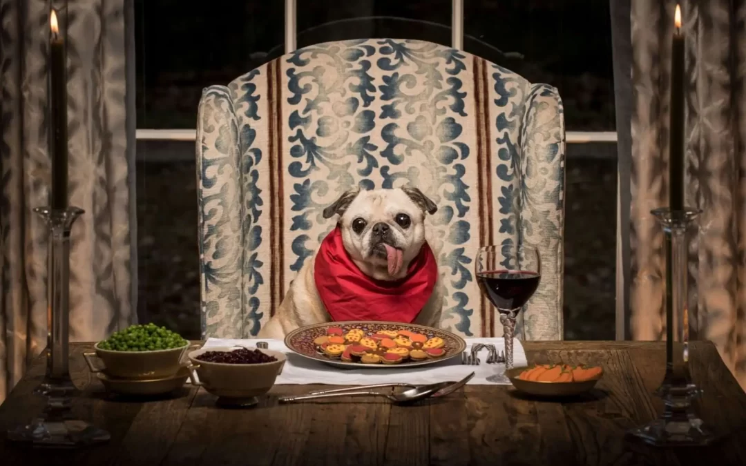 Can Dogs Eat This? (175 Human Foods, Fruits & Vegetables)