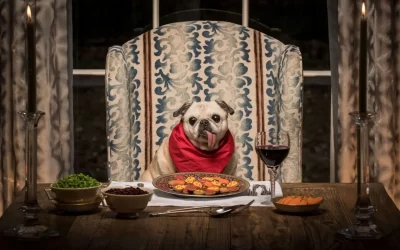 Can Dogs Eat This? (175 Human Foods, Fruits & Vegetables)