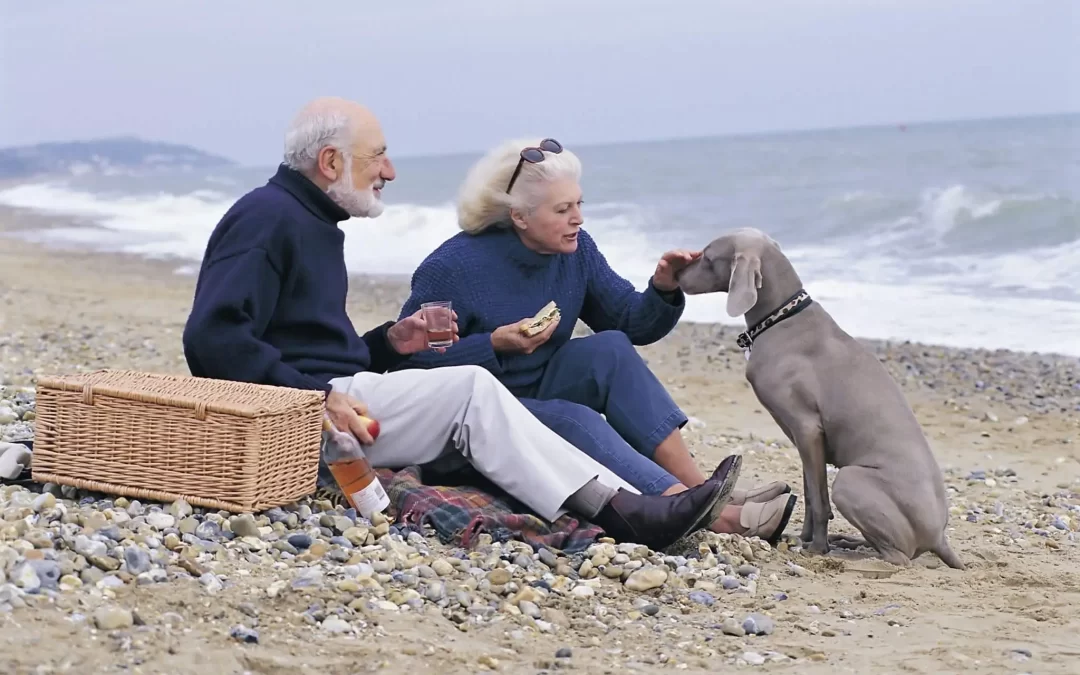 Weimaraner Feeding Guide