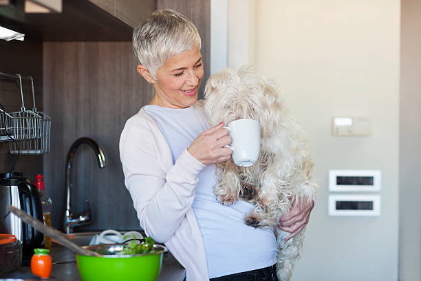 West Highland White Terrier drinking from cup