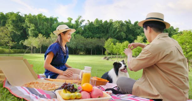 asian couple are enjoying to have a picnic at grass on holidays and man feeding their pet border collie