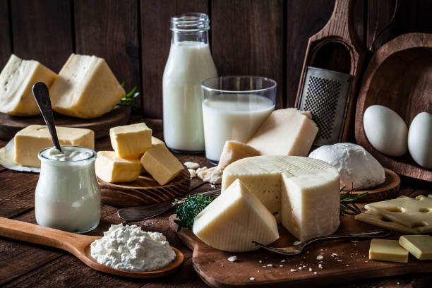 Boxers can eat dairy products. Dairy products assortment shot on rustic wooden table. Dairy products included are milk, yogurt, butter, goat cheese, mozzarella, ricotta, Parmesan cheese, emmental cheese, eggs and hard cheese.