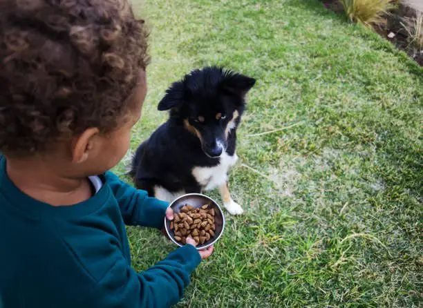 The child girl brings a bowl full of food to feed her dog.