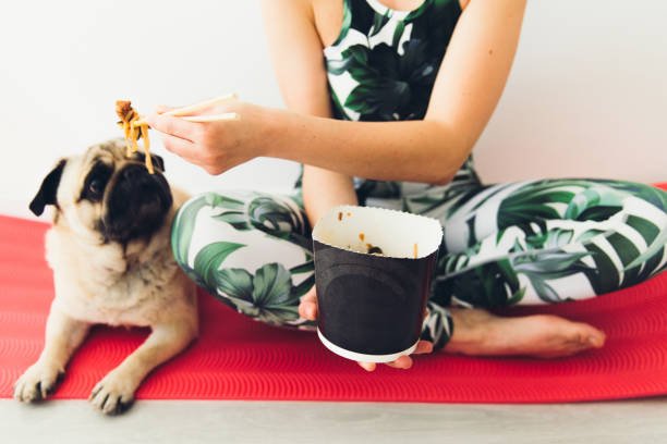 Young woman in fitness clothing sitting on the mat with her cute dog - pug breed after doing yoga and enjoying delivered Asian dinner with traditional Thai noodle with shrimps