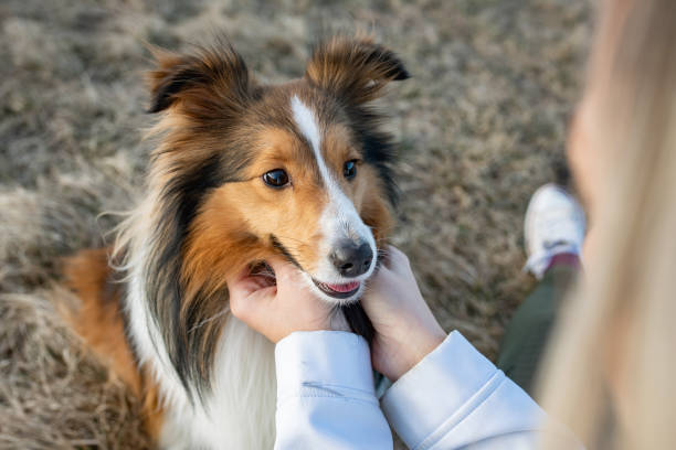 Spending A Nice Sunny Day With A Family and our dog