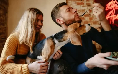 75 Human Foods, Vegs & Fruits Basset Hounds Can Eat (and 25 To Avoid )