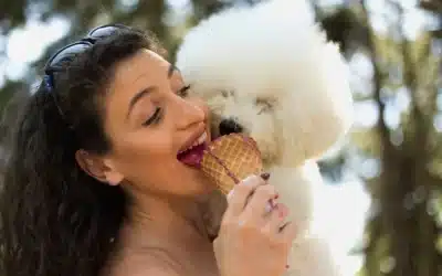 75 Human Foods, Vegs & Fruits Bichon Frises Can Eat (and 25 To Avoid )