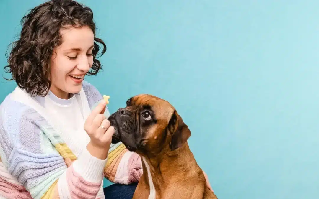 75 Human Foods, Vegs & Fruits Boxers Can Eat (and 25 To Avoid )
