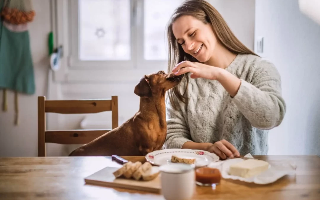 75 Human Foods, Vegs & Fruits Dachshunds Can Eat (and 25 To Avoid )