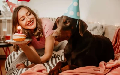 75 Human Foods, Vegs & Fruits Doberman Pinschers Can Eat (and 25 To Avoid )