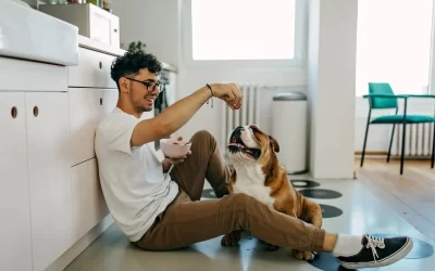 75 Human Foods, Vegs & Fruits English Bulldogs Can Eat (and 25 To Avoid )