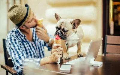 75 Human Foods, Vegs & Fruits French Bulldogs Can Eat (and 25 To Avoid )