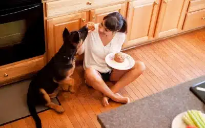 75 Human Foods, Vegs & Fruits German Shepherds Can Eat (and 25 To Avoid )