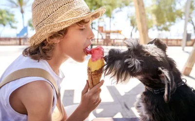 75 Human Foods, Vegs & Fruits Miniature Schnauzers Can Eat (and 25 To Avoid )