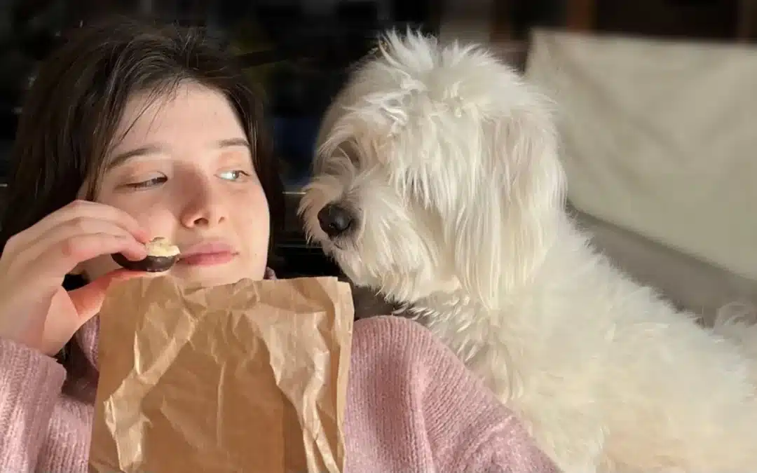 75 Human Foods, Vegs & Fruits Maltese Can Eat (and 25 To Avoid )