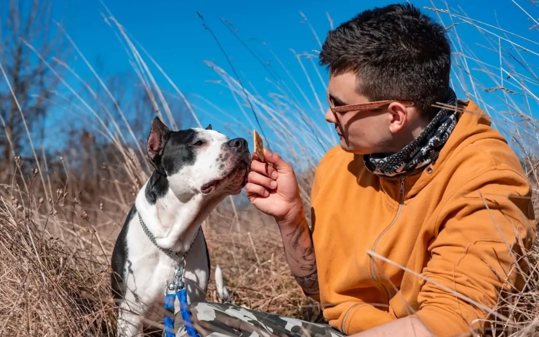 75 Human Foods, Vegs & Fruits Pit Bulls Can Eat (and 25 To Avoid )