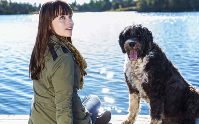75 Human Foods, Vegs & Fruits Portuguese Water Dogs Can Eat (and 25 To Avoid )