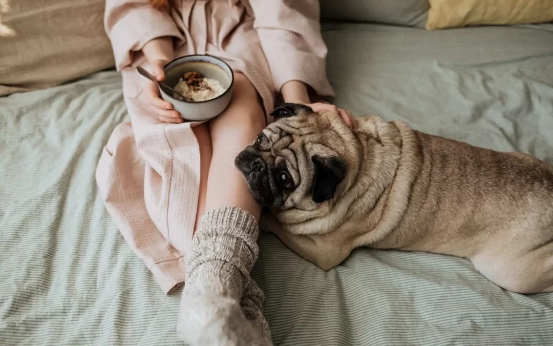 75 Human Foods, Vegs & Fruits Pugs Can Eat (and 25 To Avoid )