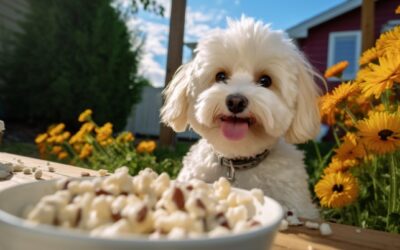 Rice Krispie Treats?