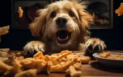 Chicken and Dumplings Strips?