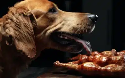 Rotisserie Chicken Bone?