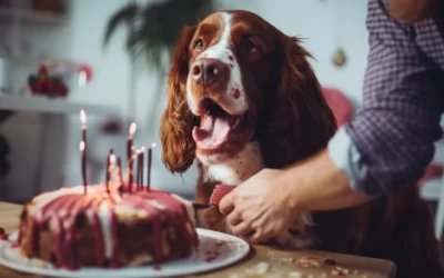 Can Dogs Eat Cake Icing? (Everything You Should Know)