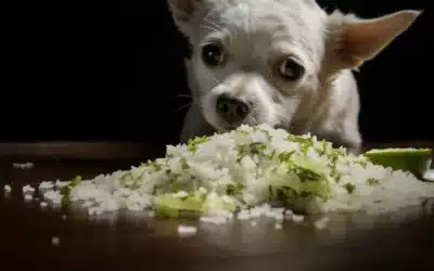Cilantro Lime Rice?