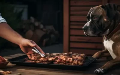 Freezer Burned Meat?