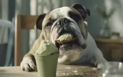 Can Dogs Eat Green Tea Ice Cream? (Everything You Should Know)