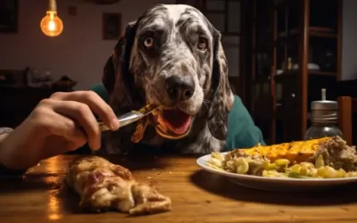 Can Dogs Eat Gyro Meat? (Everything You Should Know)