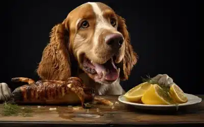 Lemon Pepper Chicken?