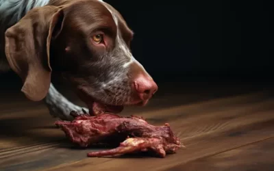 Raw Turkey Neck Bones?