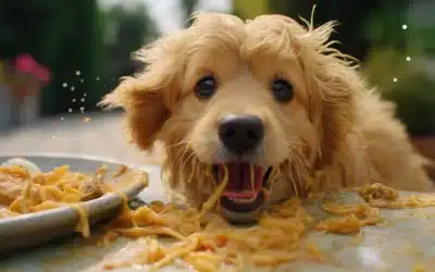 Chicken-Flavored Ramen Noodles?