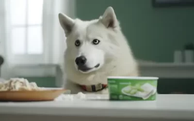 Can Dogs Eat Activia Yogurt? (Everything You Should Know)