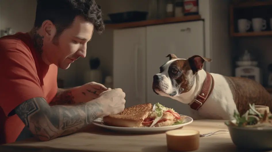 Final Thoughts: Can Dogs Eat Arby’s Roast Beef?