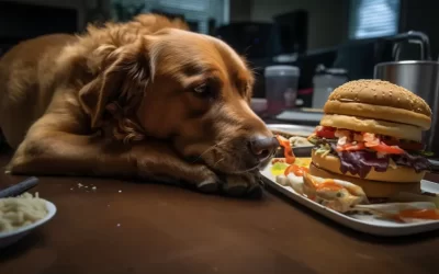 Can Dogs Eat Arby’s Roast Beef? (Everything You Should Know)