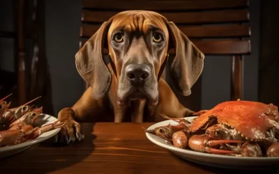 Can Dogs Eat Crab Legs Shells? (Everything You Should Know)