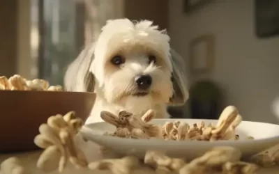 Can Dogs Eat Enoki Mushrooms? (Everything You Should Know)