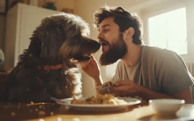 Honey Bunches of Oats