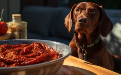 Can Dogs Eat Sun-Dried Tomatoes (Everything You Should Know)